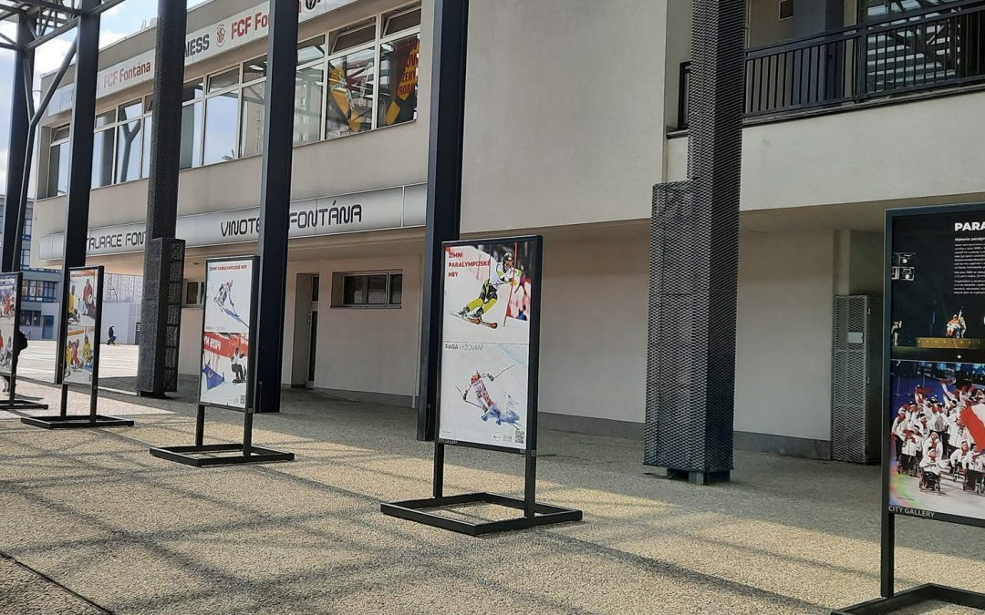 Zimní paralympijské hry