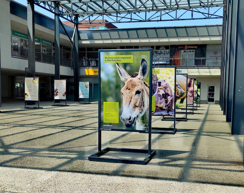 ZOO Ostrava – unikátní a ohrožená zvířata