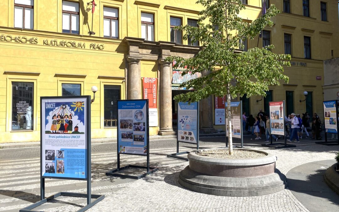 UNICEF v Česku, Česko v UNICEF