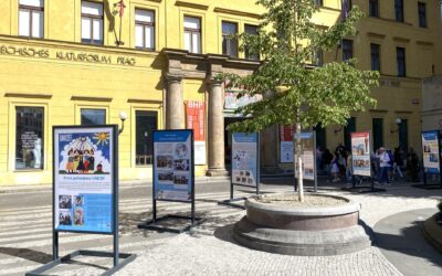 UNICEF v Česku, Česko v UNICEF