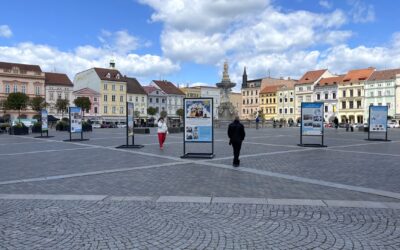 UNICEF v Česku, Česko v UNICEF