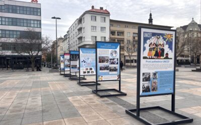 UNICEF v Česku, Česko v UNICEF